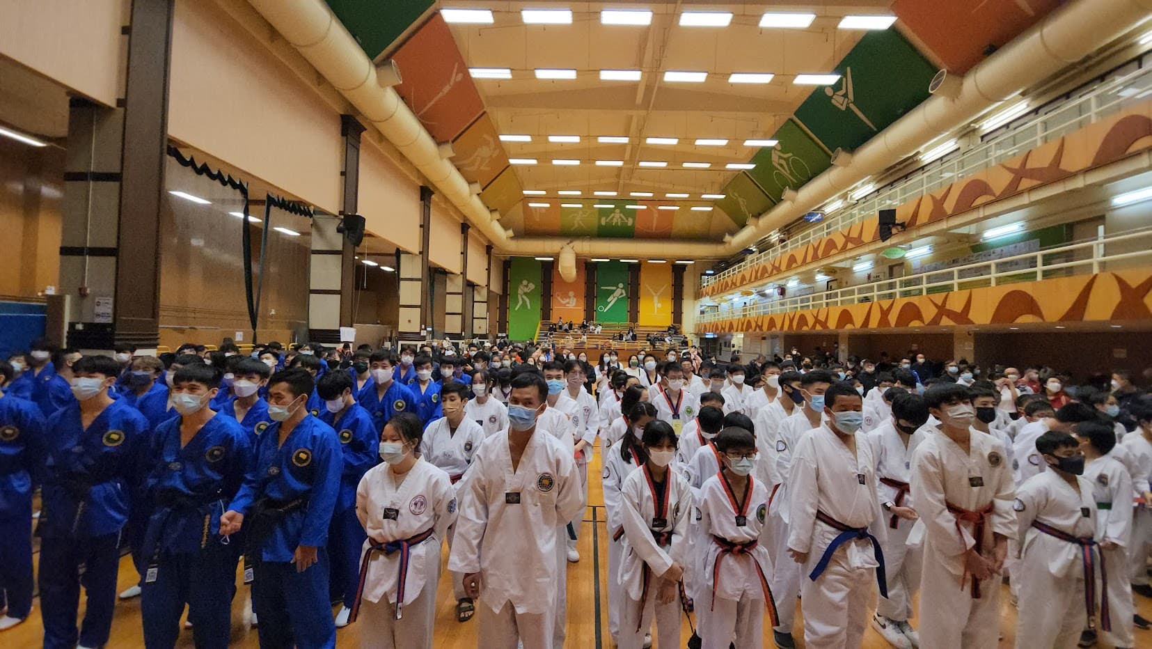 跆拳道比賽——學員在賽場上展示實力