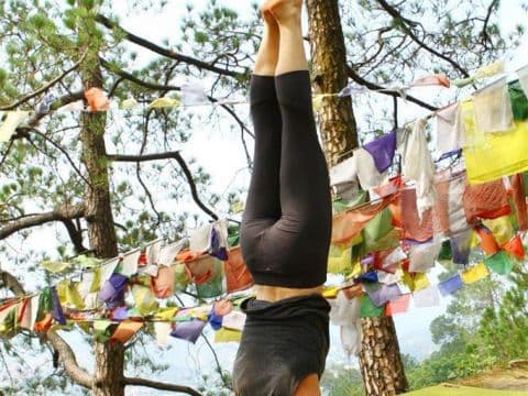  Join 200- hour Yoga Teacher Training Course in The Capital of Yoga - 運動及健身 瑜伽  課程圖片